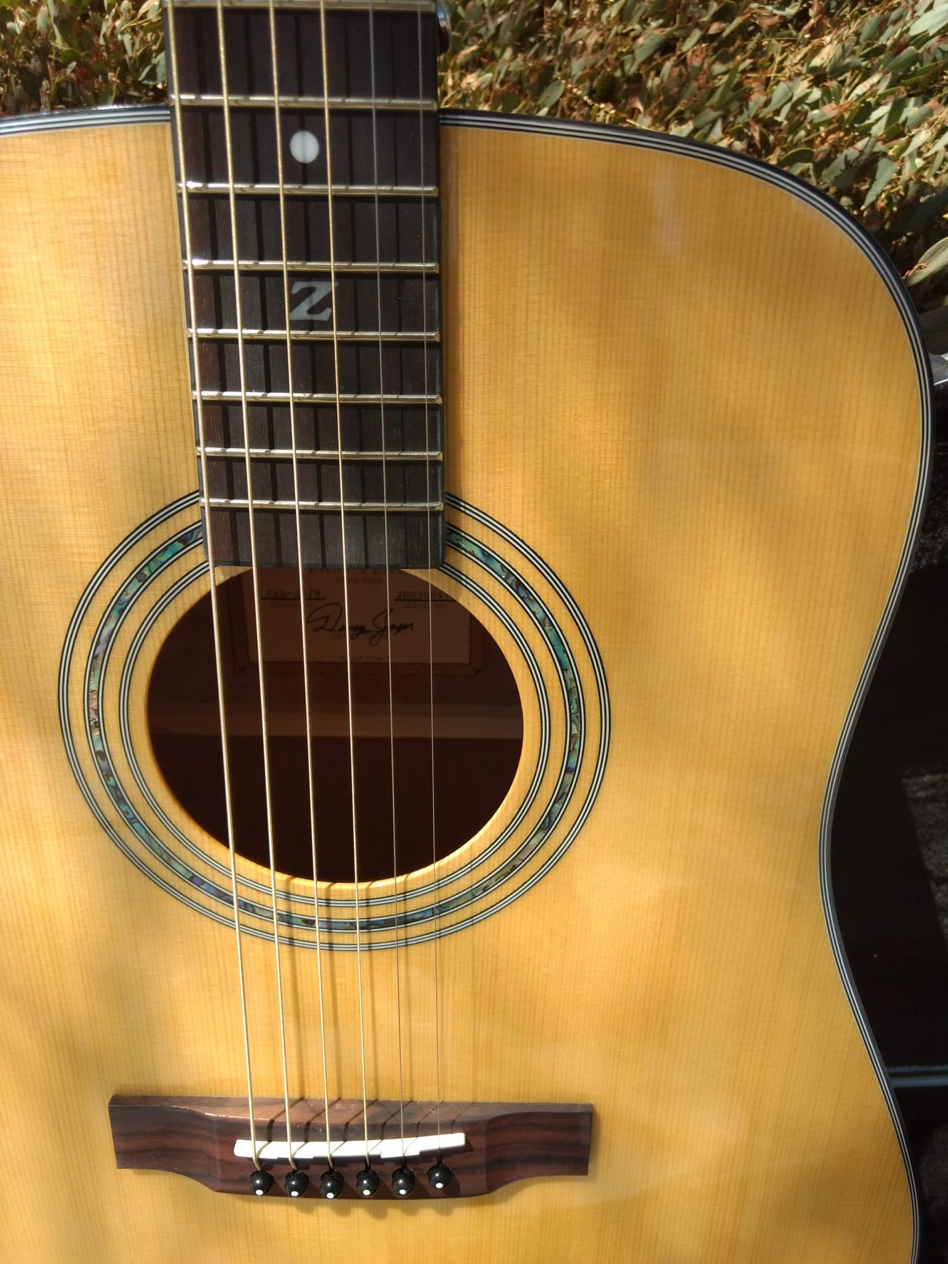 ZAD20 Solid Spruce/Mahogany Acoustic Natural (Discount)