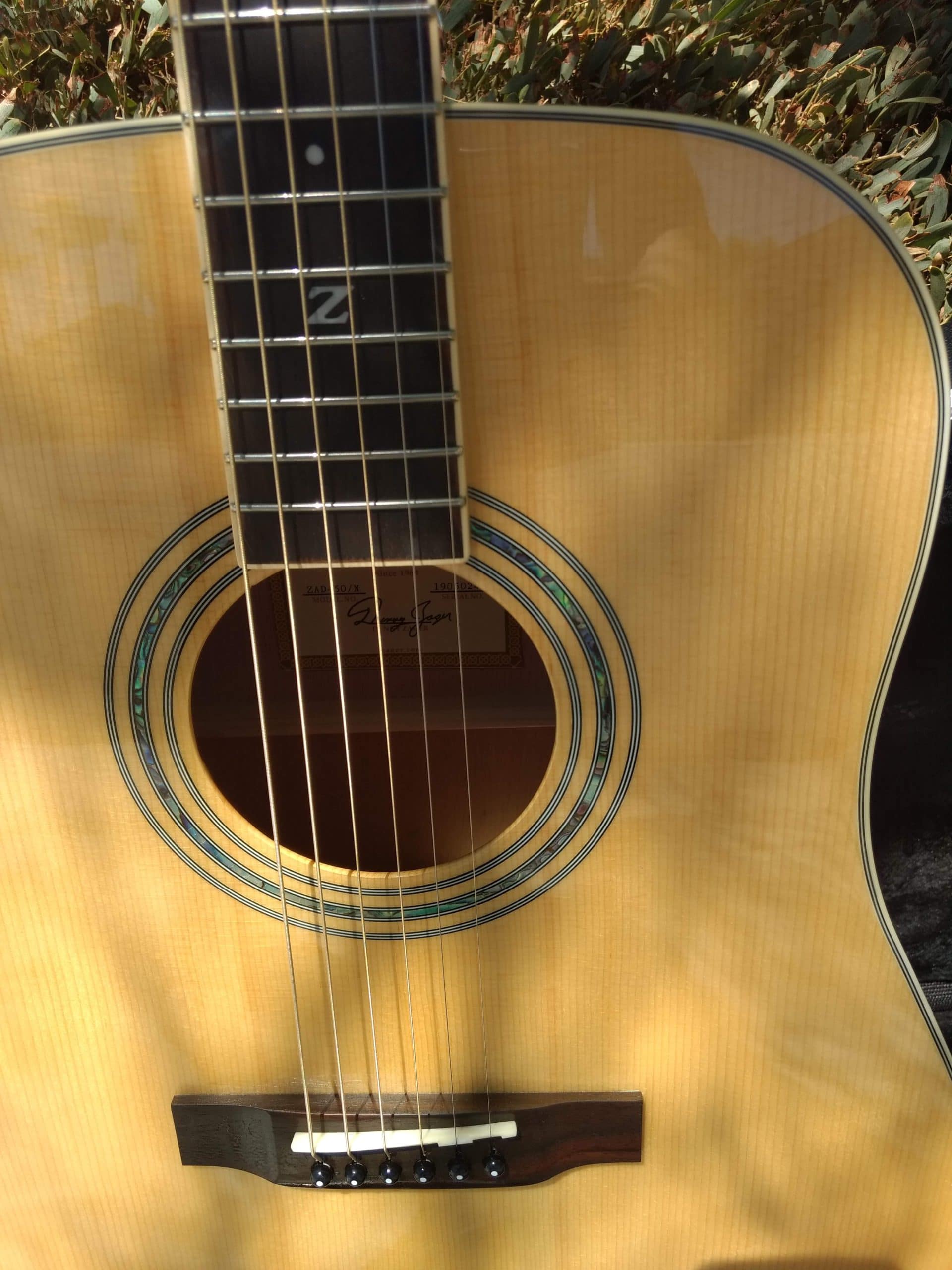 ZAD50 Solid Spruce/Mahogany Acoustic (Discount)