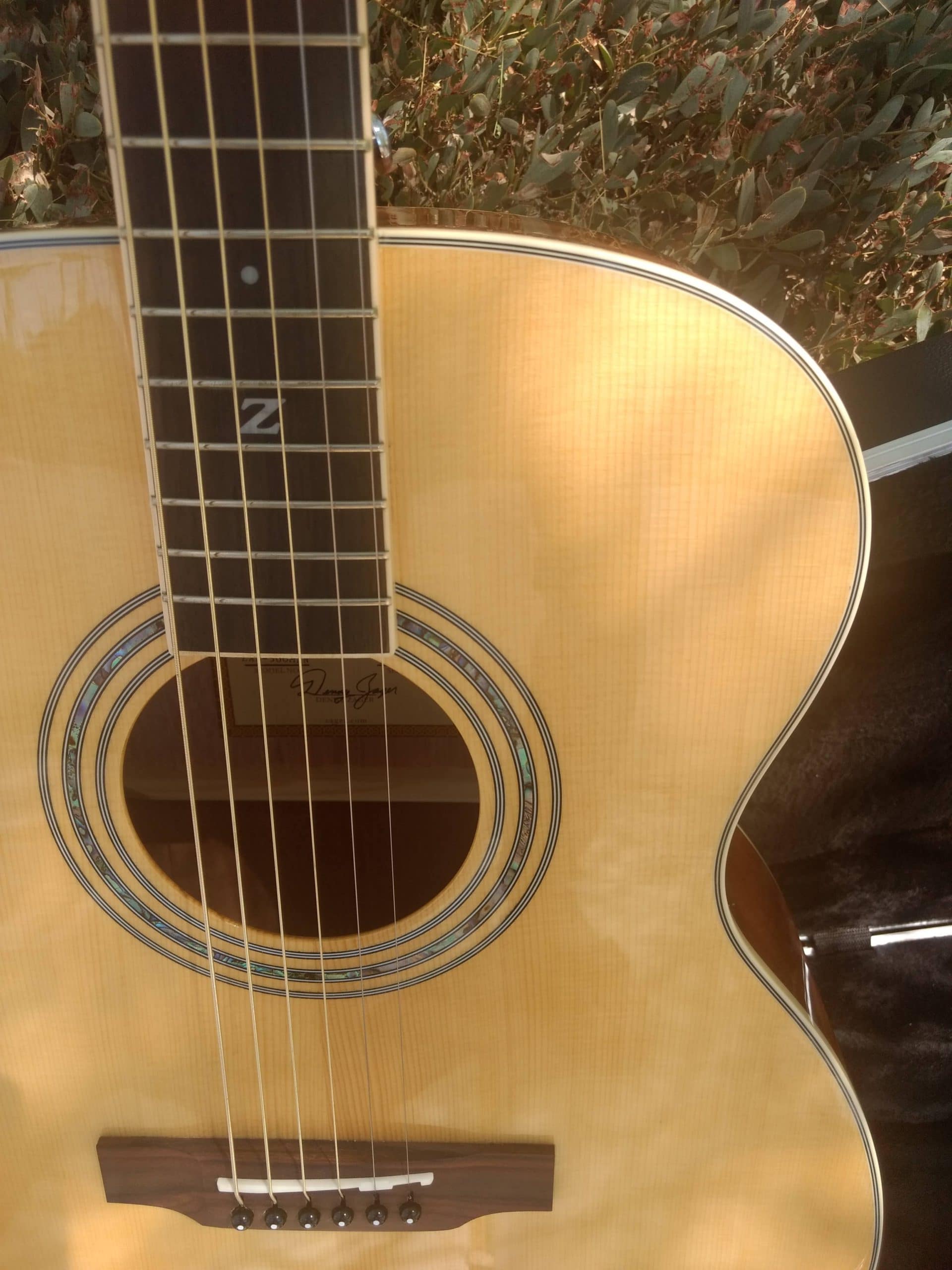 #00067 50 OM Acoustic