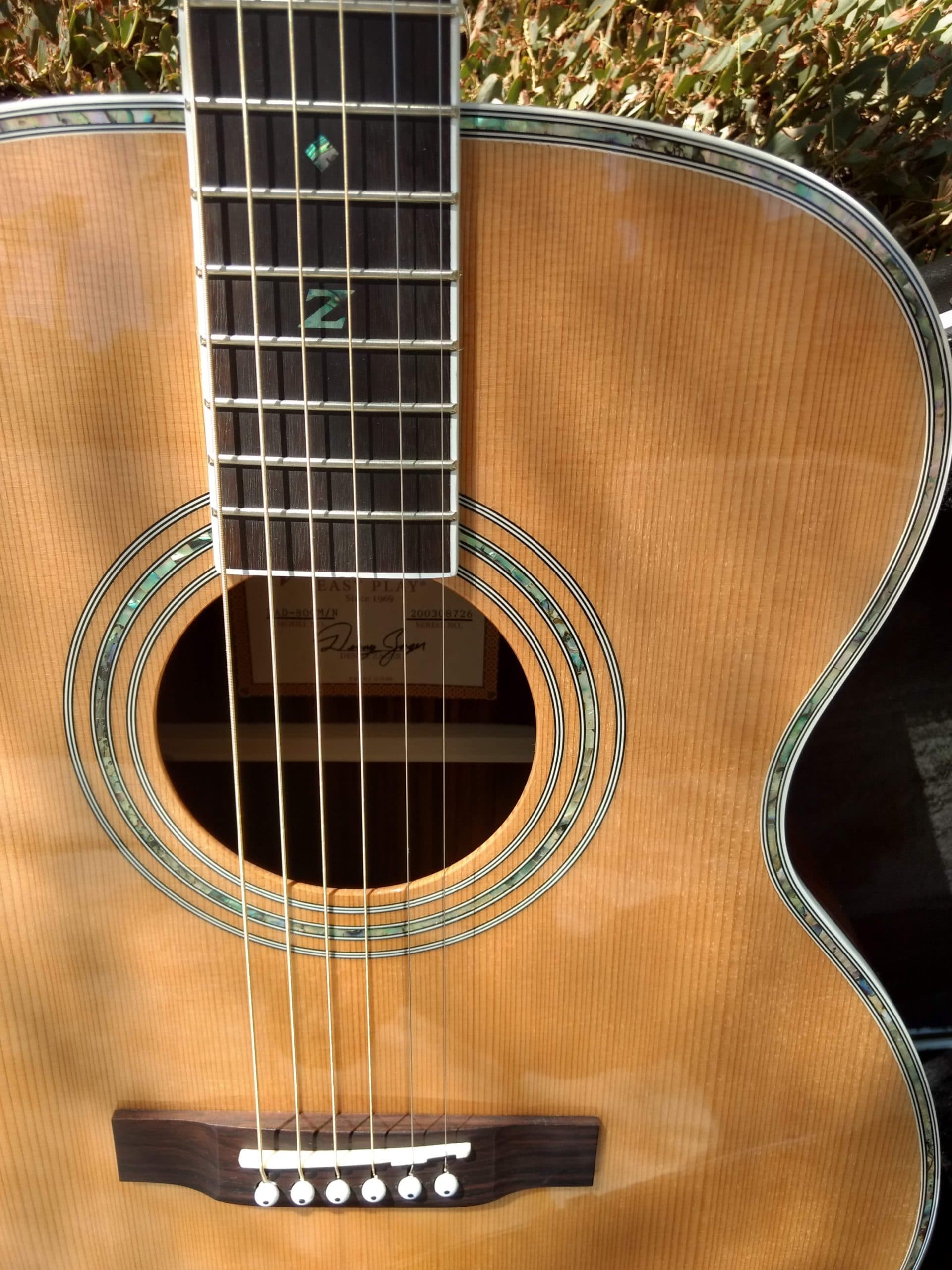 ZAD80 Solid Cedar/Rosewood Acoustic Pro Series Smaller "OM" Size (Discount)