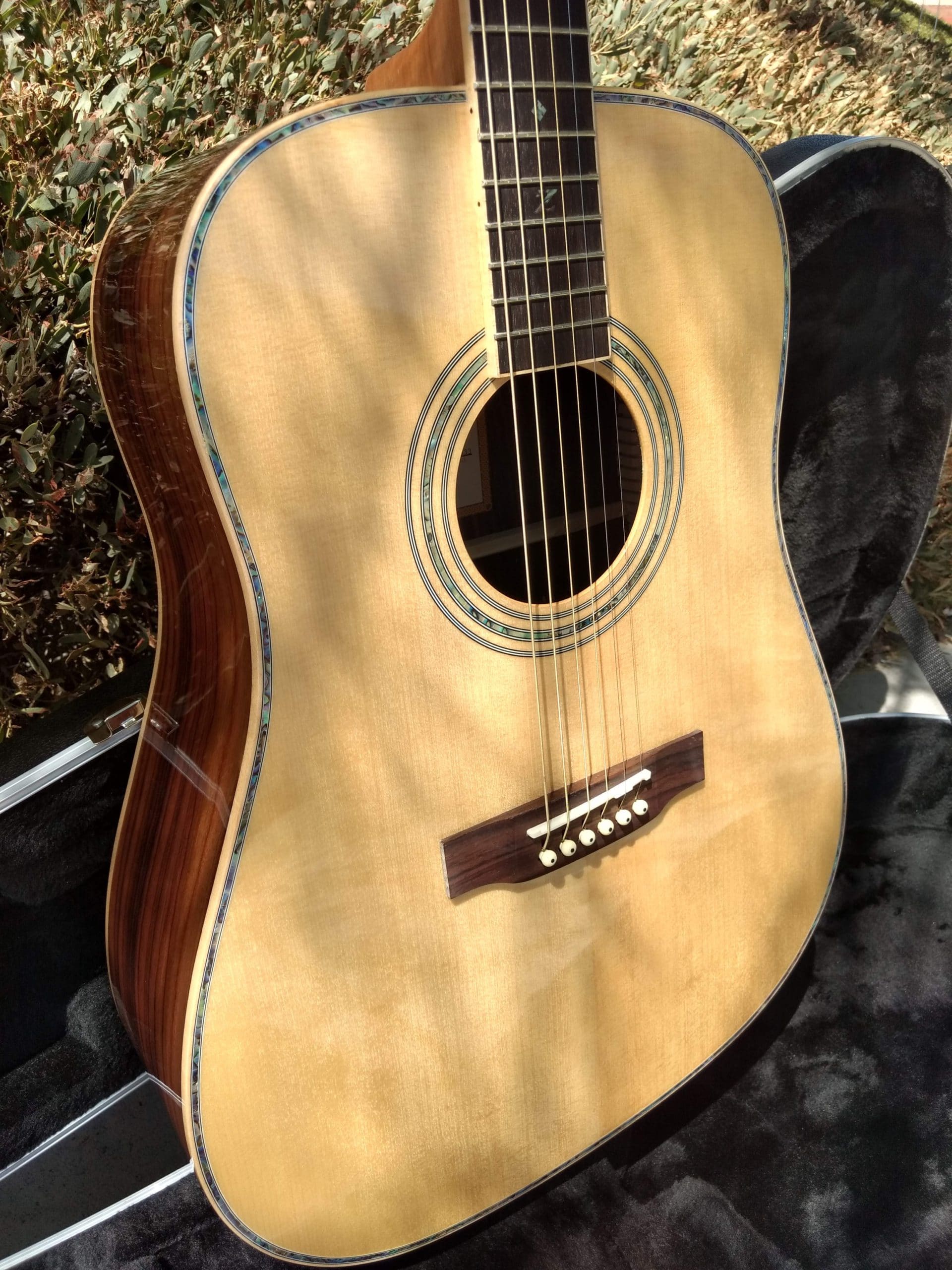 ZAD900 Solid Spruce/Rosewood Acoustic Pro Series (Discount)
