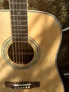 ZAD900 Solid Spruce/Rosewood Acoustic Pro Series (Discount)