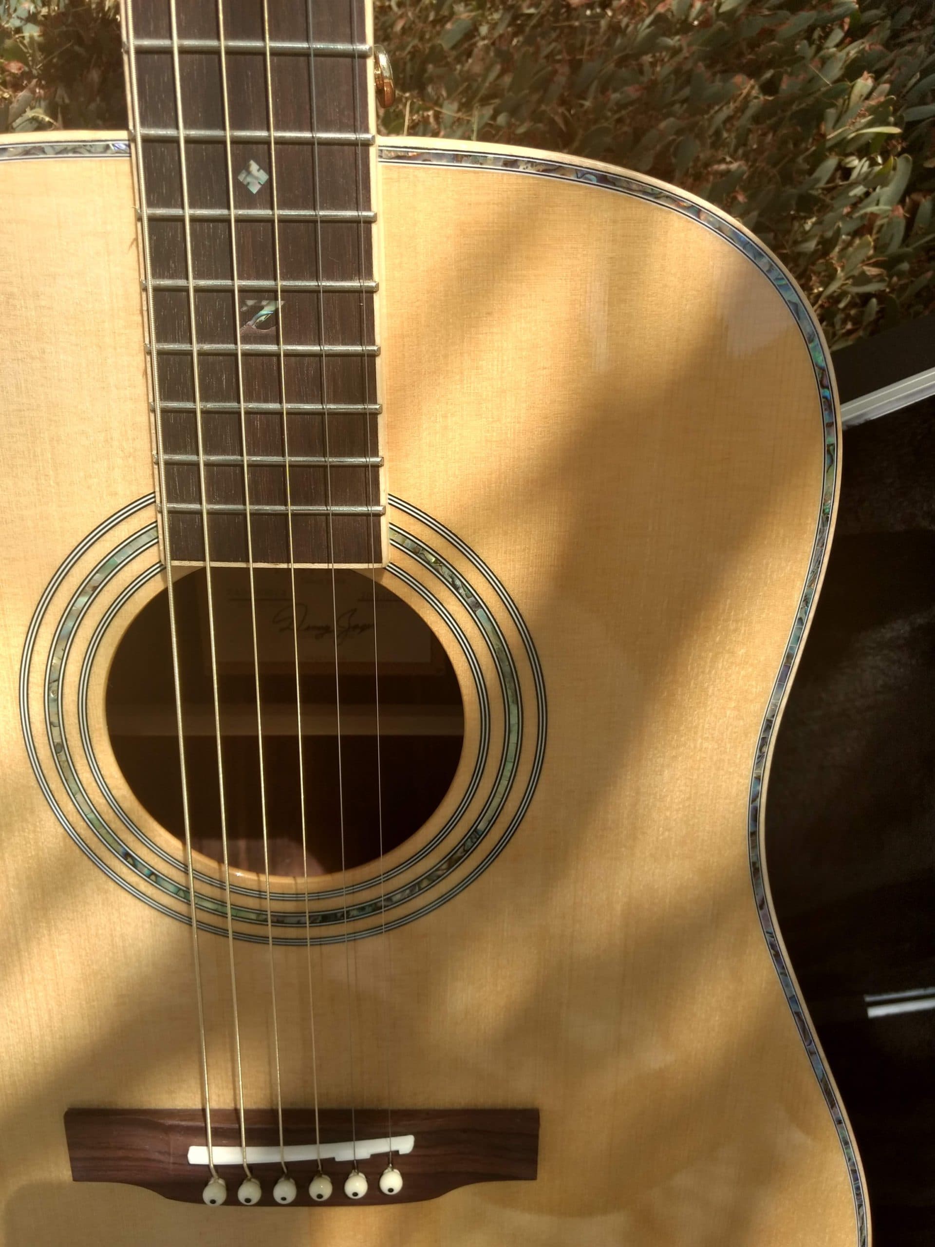 ZAD900 Solid Spruce/Rosewood Acoustic Pro Series (Discount)