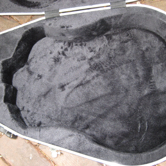 abs ultralight molded guitar case