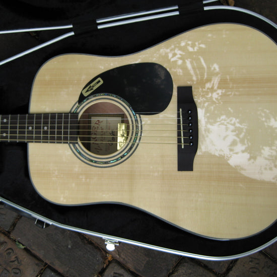 abs ultralight molded guitar case