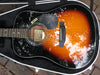 abs ultralight molded guitar case