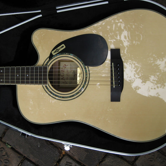 abs ultralight molded guitar case