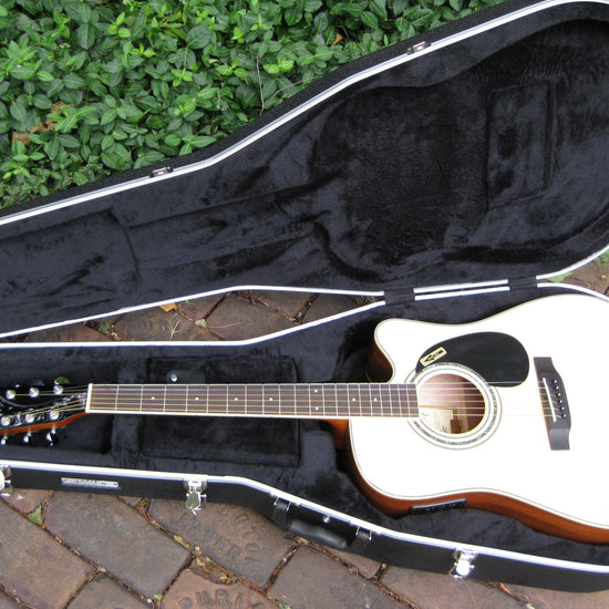 abs ultralight molded guitar case