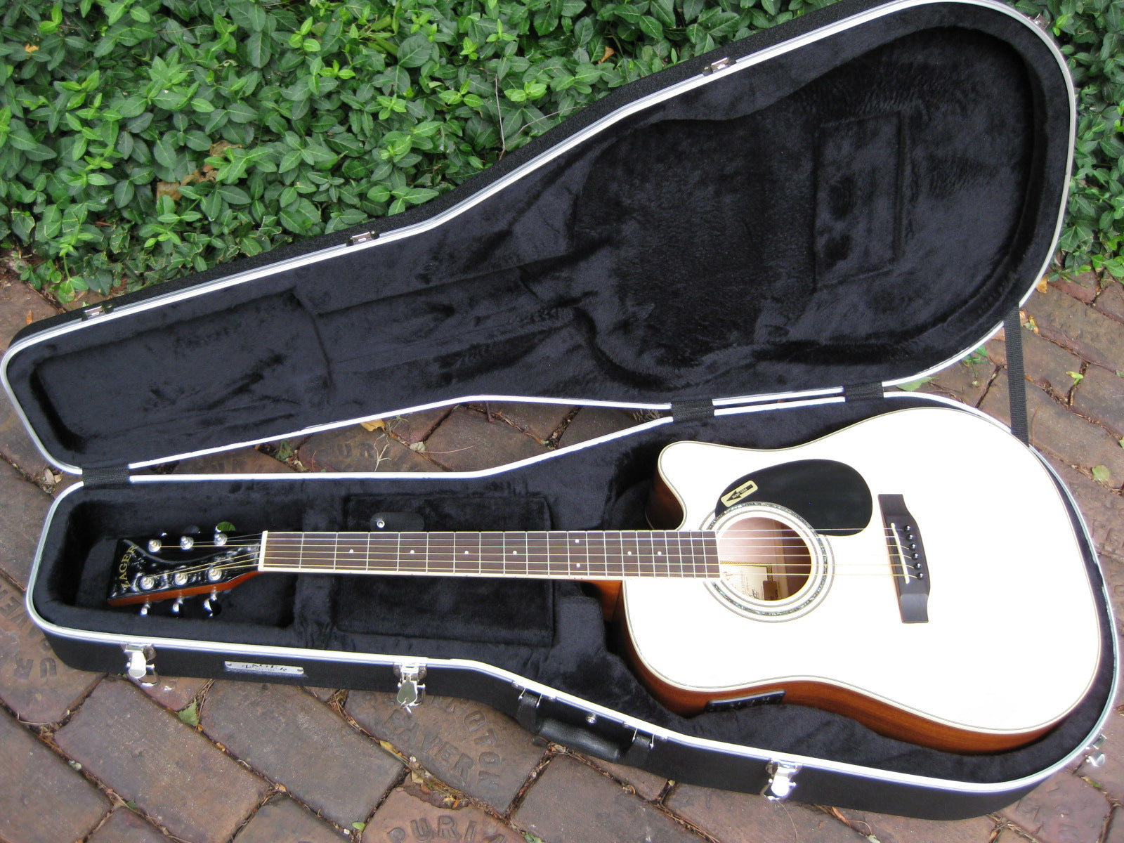 abs ultralight molded guitar case