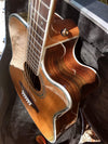 ZAD80CE Solid Cedar/Rosewood Acoustic Electric "AURA" Pro Series