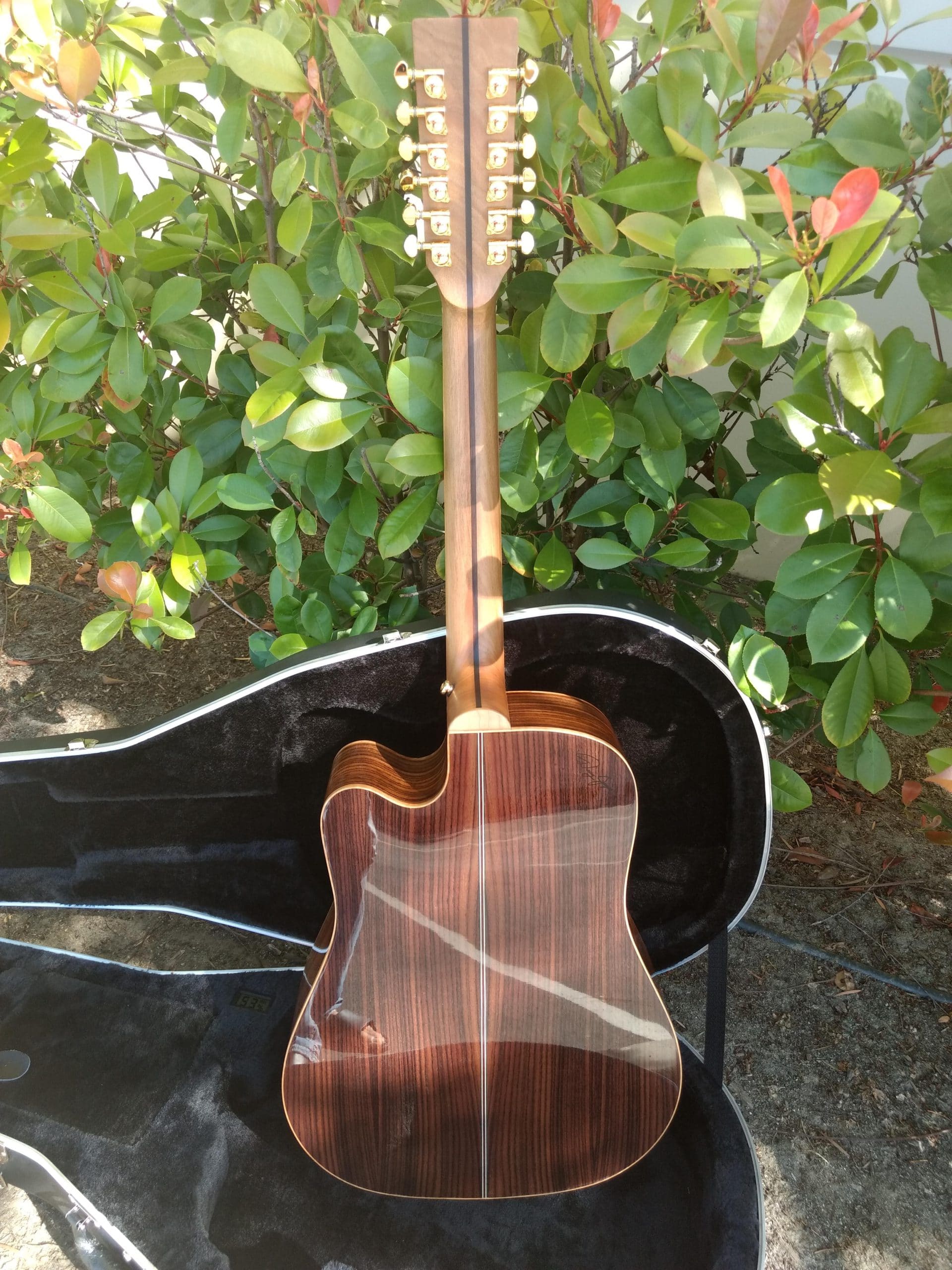 ZAD900CE 12 String Solid Spruce/Rosewood Acoustic Electric AURA Pro Series