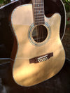 ZAD900CE 12 String Solid Spruce/Rosewood Acoustic Electric AURA Pro Series