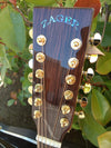 ZAD900CE 12 String Solid Spruce/Rosewood Acoustic Electric AURA Pro Series