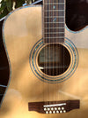 ZAD900CE 12 String Solid Spruce/Rosewood Acoustic Electric AURA Pro Series