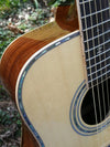 zad900 rosewood acoustic guitar