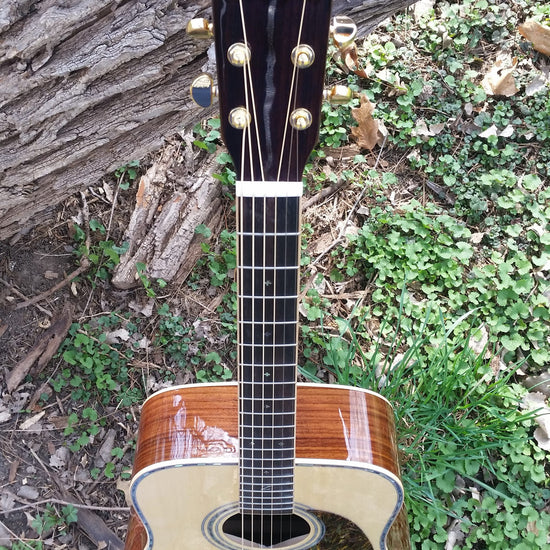 zad900 rosewood acoustic guitar