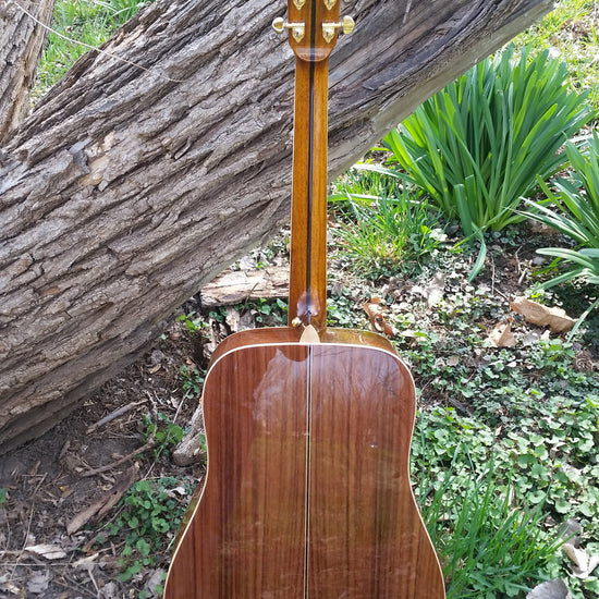 zad900 rosewood acoustic guitar
