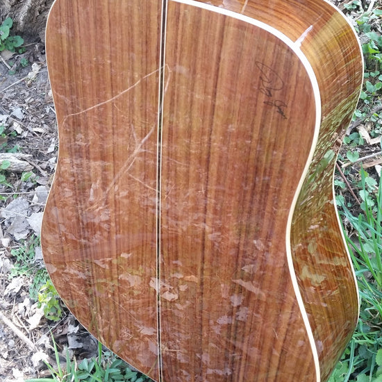 zad900 rosewood acoustic guitar