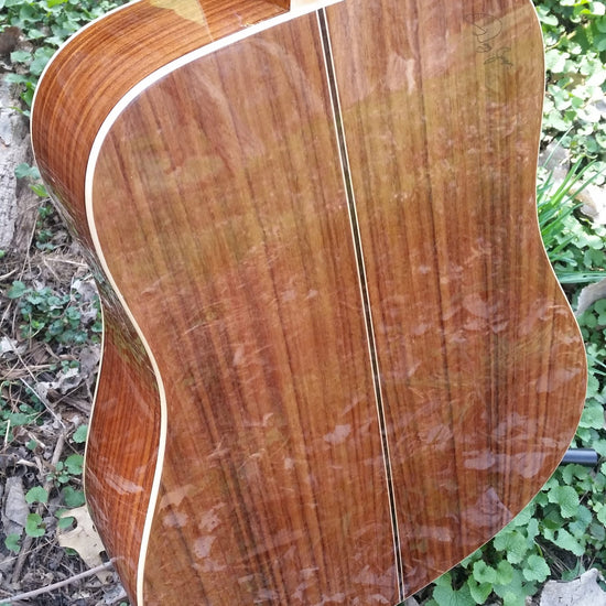 zad900 rosewood acoustic guitar
