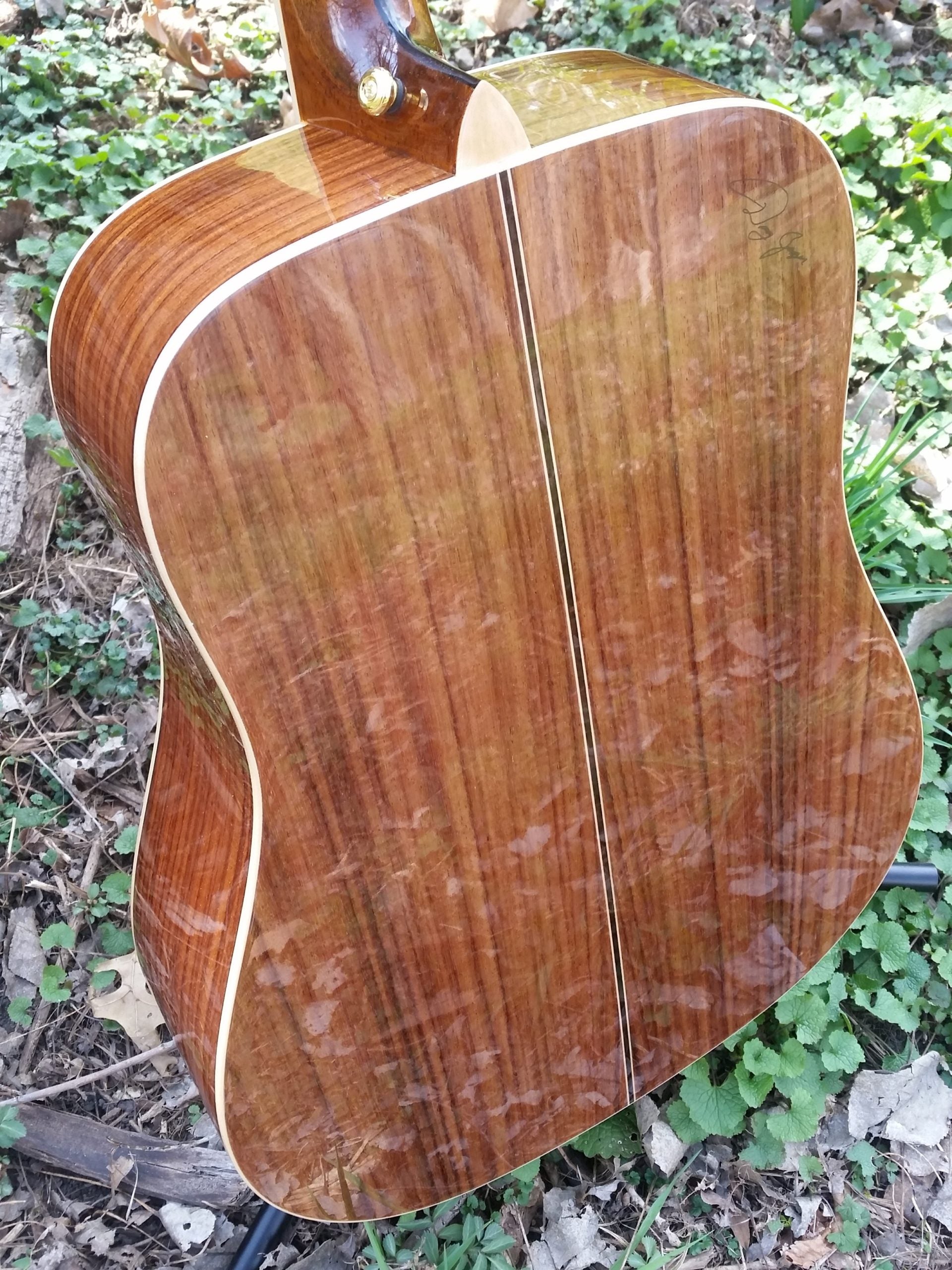 zad900 rosewood acoustic guitar