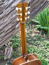 zad900 rosewood acoustic guitar