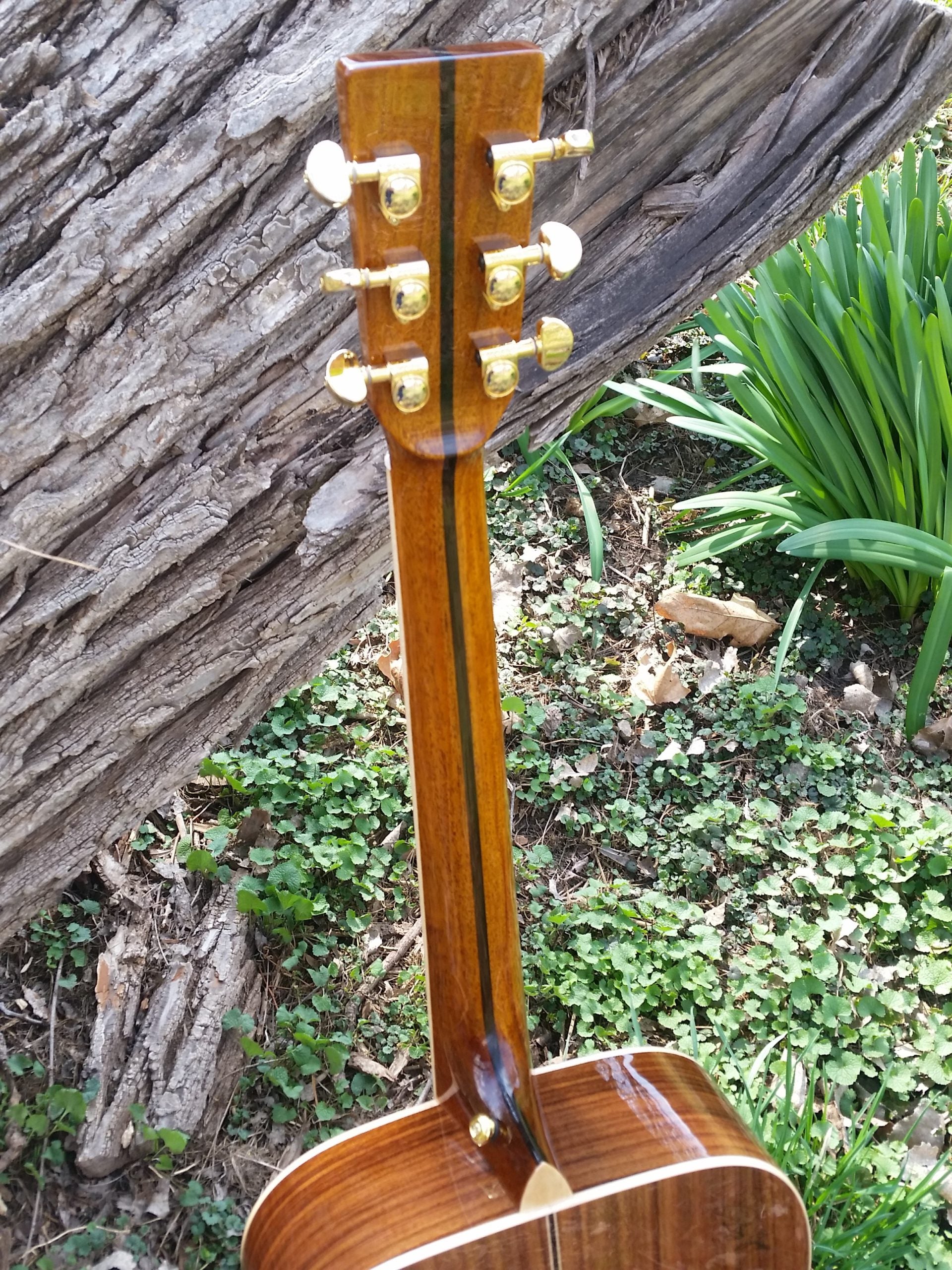 zad900 rosewood acoustic guitar