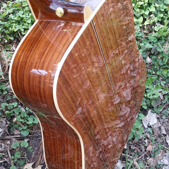 zad900 rosewood acoustic guitar