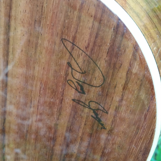 zad900 rosewood acoustic guitar