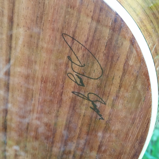 zad900 rosewood acoustic guitar