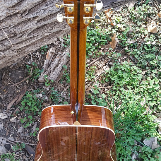 zad900 rosewood acoustic guitar