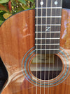 Travel Size Solid African Mahogany Electric
